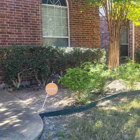 Bush Trimming by Leaves of 99 Lawn Care LLC reviewed on August 20, 2025