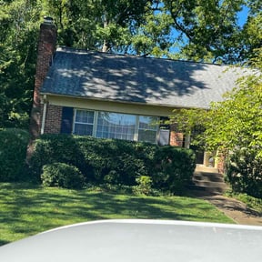 Bush Trimming by Etown Odd Jobs reviewed on August 19, 2025