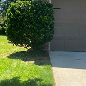 Bush Trimming by AJS LAWNCARE & HOME IMPOVEMENT reviewed on August 20, 2025