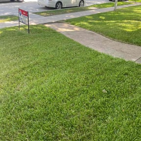 landscaping services by Texas lawn pro reviewed on August 15, 2025