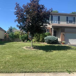 Bush Trimming by A and L lawn Care Professionals reviewed on August 21, 2025