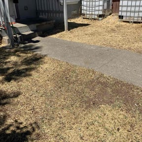 Leaf Removal by Pack Lawncare reviewed on October 3, 2025