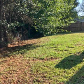 Bush Trimming by 10351 DFW LAWN SERVICE reviewed on August 25, 2026