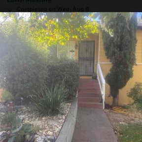 Leaf Removal by MVP Lawn &amp; Landscaping reviewed on September 25, 2025