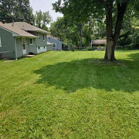 turf care by Black horse reviewed on May 1, 2024