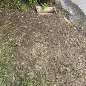 Leaf Removal by Christian Brothers Maintenance reviewed on August 21, 2025