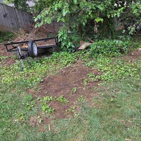 Leaf Removal by Christensen Lawn and Garden LLC reviewed on August 17, 2026