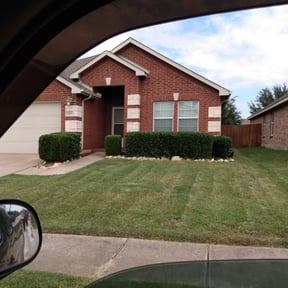 Bush Trimming by D. Nelsons Lawn Care, LLC reviewed on August 19, 2025