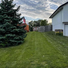 landscape maintenance by CACTUS PRIME VENTURES LTD reviewed on January 24, 2026