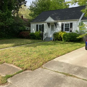 Bush Trimming by All Lawns reviewed on August 20, 2025