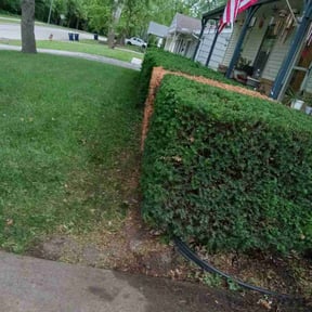 Bush Trimming by Perry's lawn and auto care reviewed on August 17, 2025