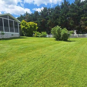 landscaping by Kowtown Services reviewed on November 23, 2025