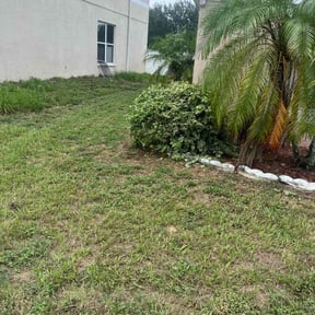 Bush Trimming by Love Your Lawn reviewed on August 18, 2025