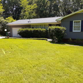 Bush Trimming by Caesar’s Premier Landscaping reviewed on August 19, 2025