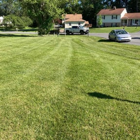 grass maintenance by D&amp;J Lawn Care reviewed on August 20, 2025