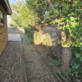 Bush Trimming by Lawn pros. reviewed on August 18, 2025