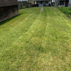 lawn care services by Bellas custom landscaping reviewed on April 29, 2025