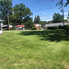landscape maintenance by Fredy'sLawnmovingservice reviewed on August 20, 2025