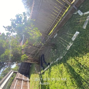 Bush Trimming by L&S Lawn Pros reviewed on August 16, 2025