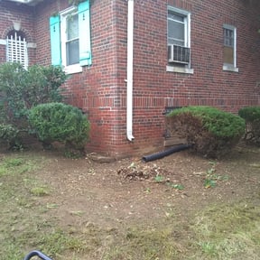 Bush Trimming by ClC Lawncare service reviewed on August 15, 2025