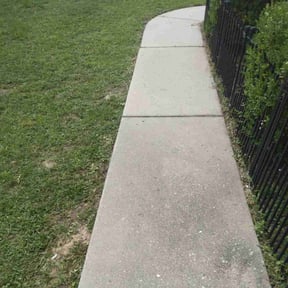 Bush Trimming by Natures Own reviewed on August 18, 2025