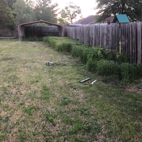 Bush Trimming by Father Mows Best, Inc. reviewed on August 21, 2025