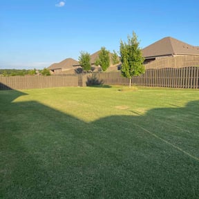 yard work by Clear Perspective Cleaning reviewed on August 17, 2025
