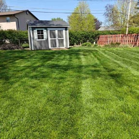 turf maintenance by Daniel&#039;s lawn care service LLC reviewed on August 21, 2025