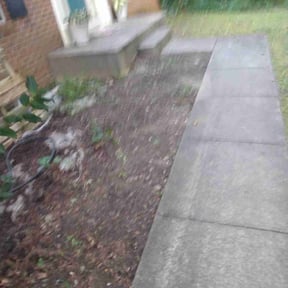 Leaf Removal by BBMP reviewed on September 9, 2025