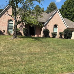 Bush Trimming by Tony&#039;s Lawn Care and Landscaping reviewed on November 23, 2025