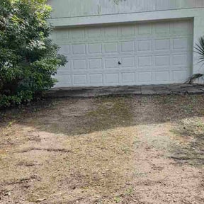 Leaf Removal by Family Traditions Lawn Care reviewed on October 10, 2026