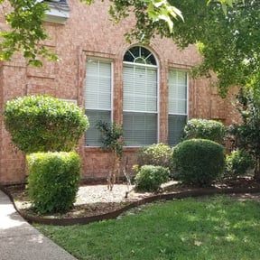 Bush Trimming by Tim's Lawn Service reviewed on February 12, 2024