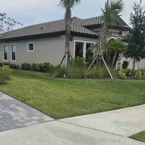 landscaping by Elenas Lawn Care LLC reviewed on March 4, 2025