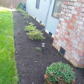 Bush Trimming by MT Lawn Care reviewed on August 20, 2025