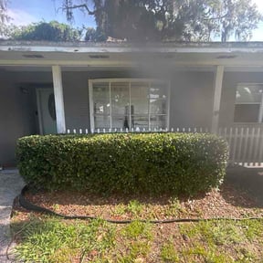 Bush Trimming by Hometeam Property reviewed on May 14, 2026
