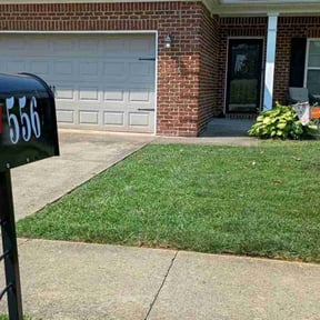 landscaping services by Mowing and landscaping reviewed on August 20, 2025