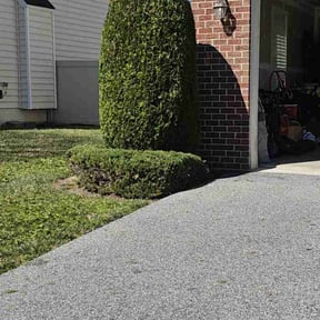 Bush Trimming by Álvarez Landscaping & Remodeling LLC reviewed on August 20, 2025