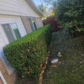 Bush Trimming by Scott Lawncare reviewed on May 14, 2024