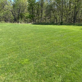 gardening service by LT Landscaping reviewed on August 18, 2025