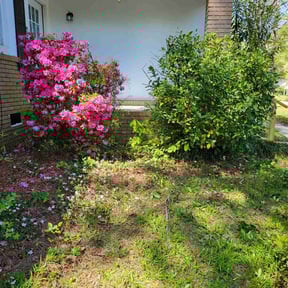 Bush Trimming by Bennett Lawn Maintenance reviewed on August 17, 2025