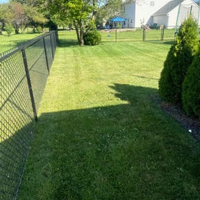 yard maintenance by Diamante Landscape Maintenance reviewed on August 20, 2025