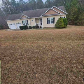 Bush Trimming by Roger waddle service llc reviewed on December 28, 2025