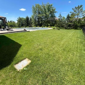 landscape maintenance by Stone&Sonsllc reviewed on August 17, 2025