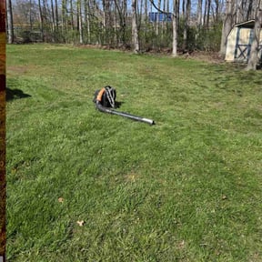 Leaf Removal by Luke&#039;s landscaping and hardscaping LLC reviewed on September 21, 2025