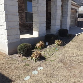 Bush Trimming by To your door lawn care reviewed on August 19, 2025