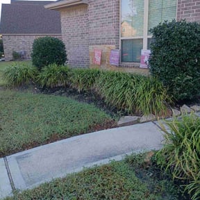 Bush Trimming by Cant Stop Wont Stop Landscaping reviewed on November 23, 2025