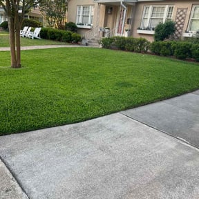 turf maintenance by GG landscape reviewed on June 9, 2023