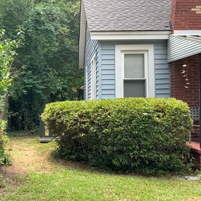 Bush Trimming by Maganda Gardens LLC reviewed on August 17, 2025