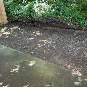 Leaf Removal by NH Landscaping reviewed on September 19, 2025