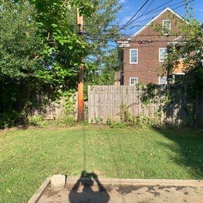 Bush Trimming by C.J LAWN CARE LANDSCAPING reviewed on August 15, 2025